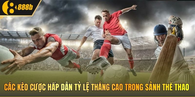 Các kèo cược hấp dẫn tỷ lệ thắng cao trong sảnh thể thao