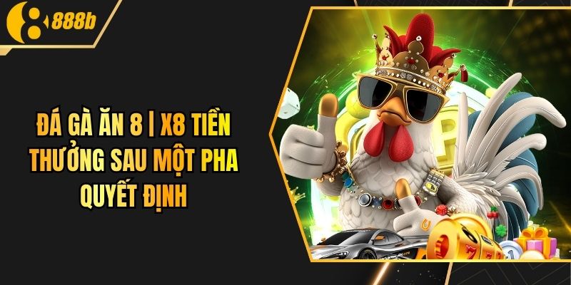 Đá Gà Ăn 8 | X8 Tiền Thưởng Sau Một Pha Quyết Định