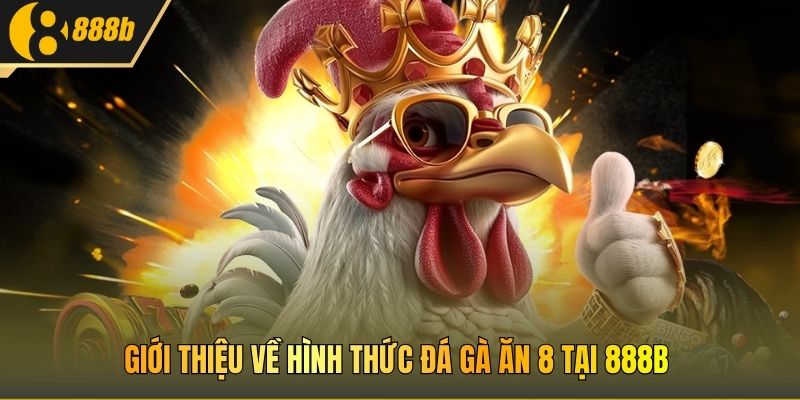 Giới thiệu về hình thức đá gà ăn 8 tại 888B