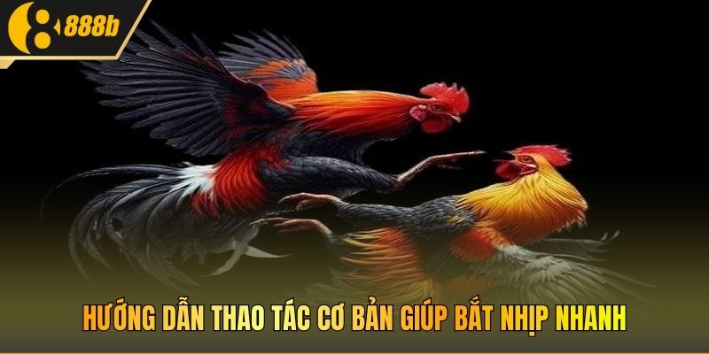 Hướng dẫn thao tác cơ bản giúp bắt nhịp nhanh