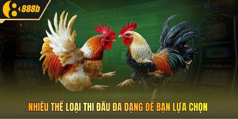 Nhiều thể loại thi đấu đa dạng để bạn lựa chọn