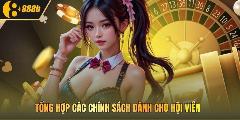 Tổng hợp các chính sách dành cho hội viên 