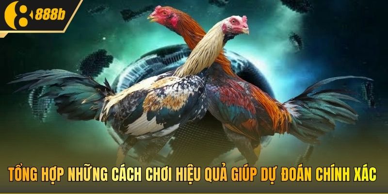 Tổng hợp những cách chơi hiệu quả giúp dự đoán chính xác