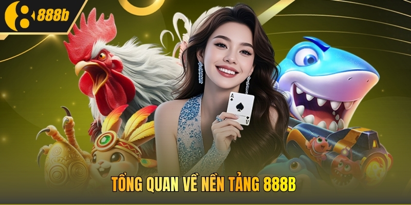 Tổng quan về nền tảng 888B